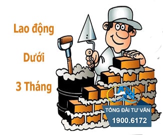 Hợp đồng lao động