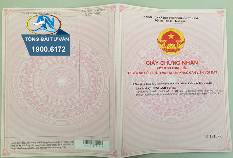 Thông tin trên giấy chứng nhận