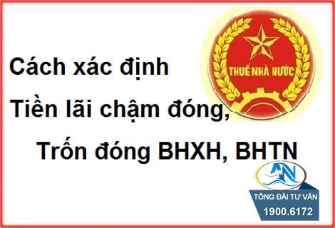 Đóng bù số tháng chậm đóng