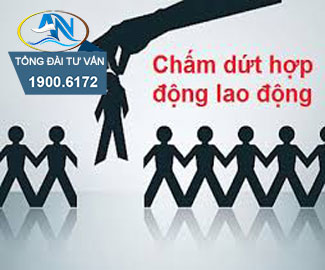 Tổ chức lại lao động
