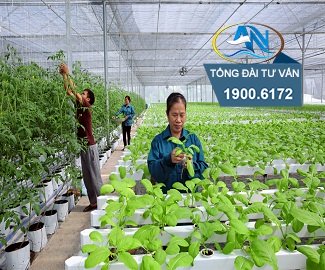 Thủ tục xin thuê đất nông nghiệp