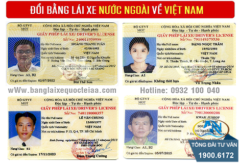 Người Việt Nam có bằng lái xe nước ngoài