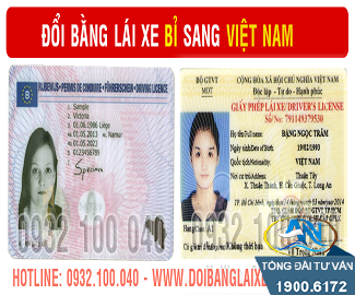 Người Việt Nam có bằng lái xe nước ngoài