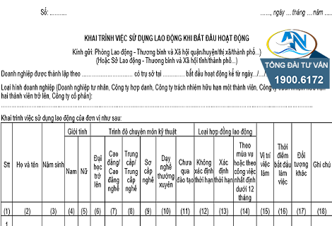 Mẫu báo cáo sử dụng lao động