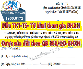 Kê khai mẫu TK1-TS