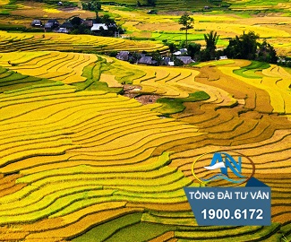 Chuyển đổi đất nông nghiệp khác xã
