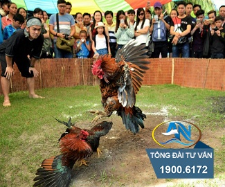 bị tịch thu