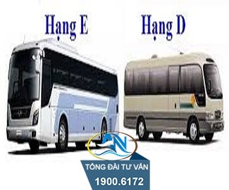 Bằng lái xe hạng D