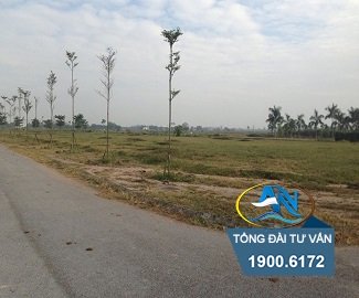Chậm thực hiện tiến độ