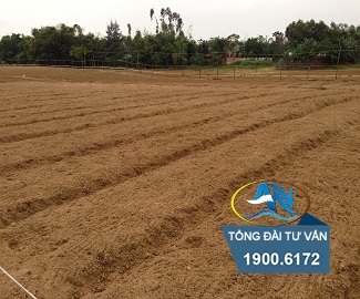 Nguyên tắc bồi thường