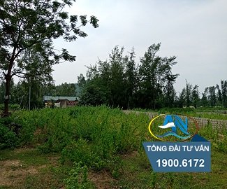 Đất trồng cây lâu năm sang đất ở