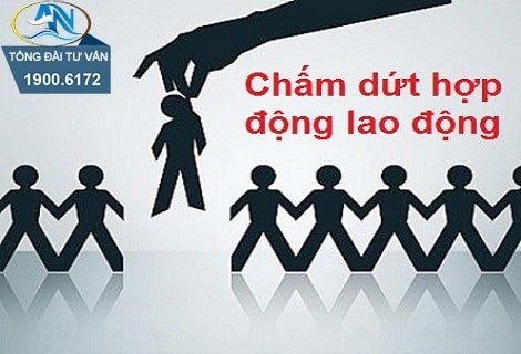 Không có quyết định thôi việc