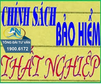 Chế độ trợ cấp cho người đóng bảo hiểm