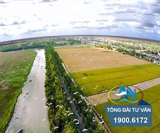 Tách thửa đất nông nghiệp