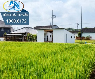 Những khoản tiền phải nộp