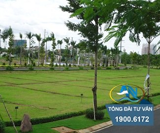 tách thửa đất nông nghiệp tại tỉnh Ninh Thuận